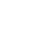 TrueTripGuide logo